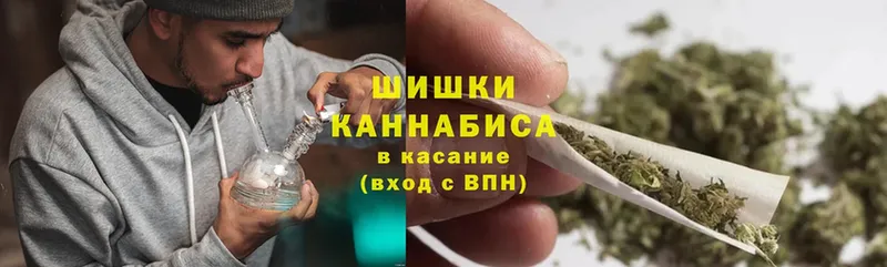 Канабис OG Kush  Межгорье 